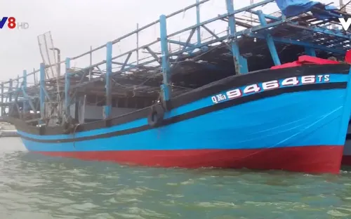 Tàu cháy, ngư dân trắng tay