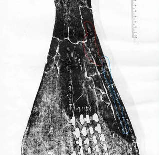 Người Trung Quốc cổ đại am hiểu về dịch bệnh từ cách đây 3.000 năm