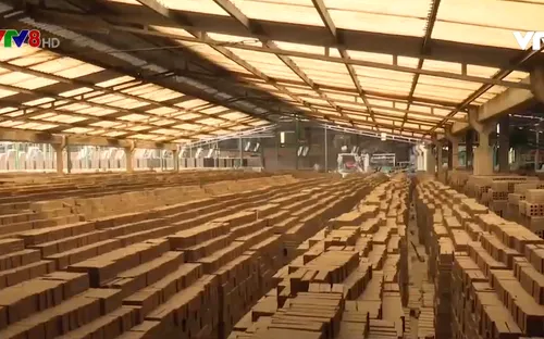 Quảng Nam buông lỏng quản lý sản xuất gạch nung