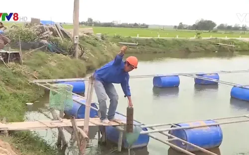 Đa dạng hóa chuỗi liên kết trong sản xuất tiêu thụ thủy sản