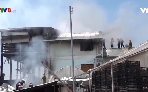 Lâm Đồng: Cháy lớn tại Công ty ươm giống cây trồng Đà Lạt