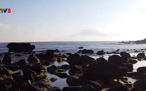 Đà Nẵng: Hơn 46 tỷ đồng phát triển du lịch cộng đồng Nam Ô