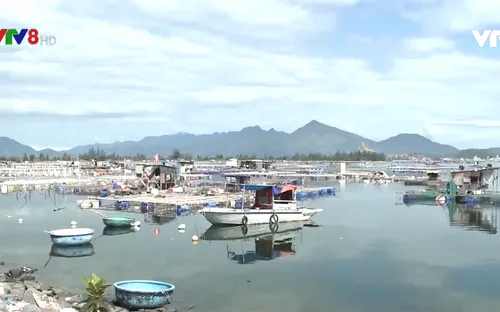 Đà Nẵng tháo dỡ lồng bè không phép tại vịnh Mân Quang