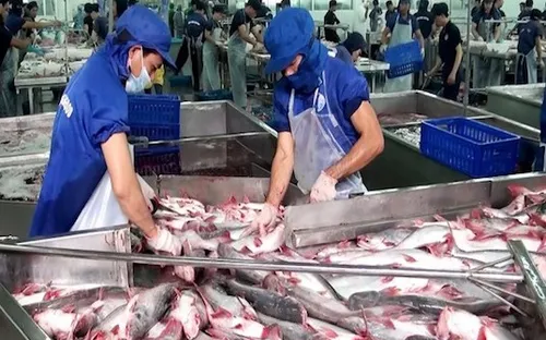 Doanh nghiệp thủy sản sụt giảm 35 – 50% đơn hàng do COVID-19