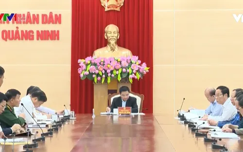 Quảng Ninh xử lý nghiêm tình trạng vận chuyển than trái phép