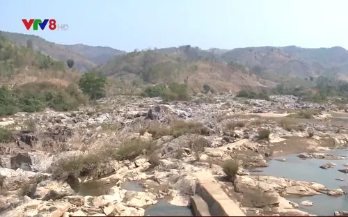 Thuỷ điện tạm tích nước, nông dân lao đao