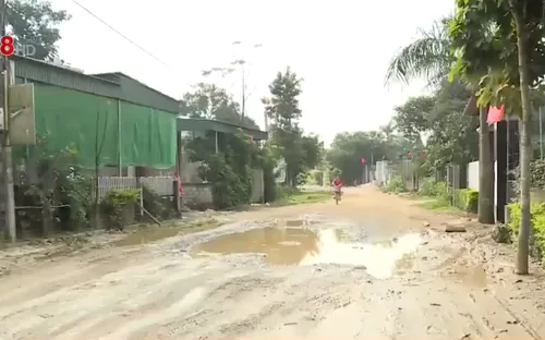 Nguy cơ tai nạn giao thông từ đường xuống cấp