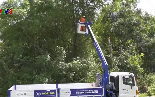 Lãnh đạo Quảng Nam làm việc với Điện lực