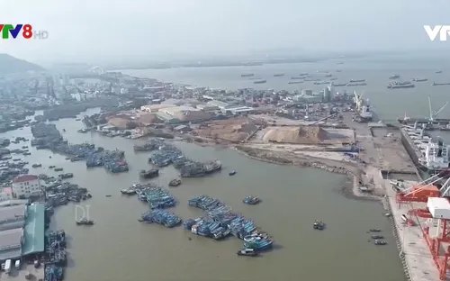 Bình Định: 5 tàu cá đóng theo NĐ67 mua được bảo hiểm