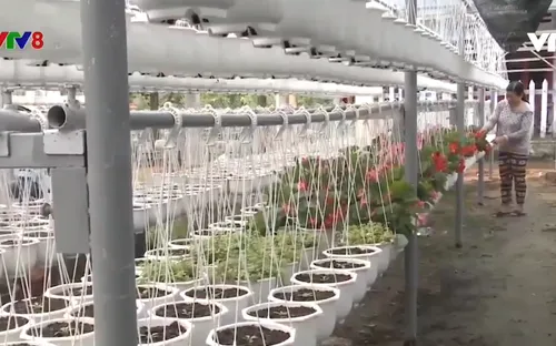 Phụ nữ Quảng Nam với những giải pháp thoát nghèo