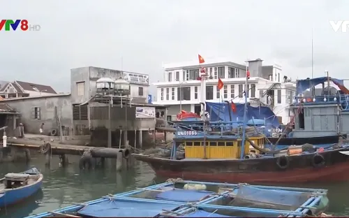 Quảng Nam: Nhiều vướng mắc trong dự án cảng cá Tam Quang