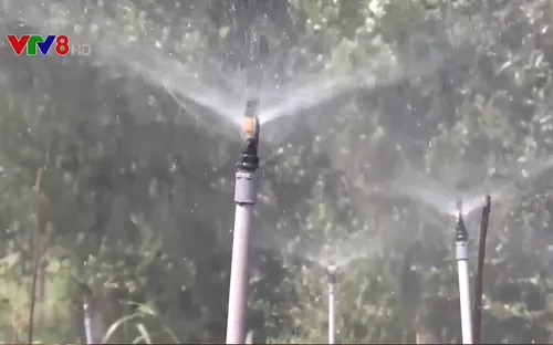 Tiết kiệm nước giải pháp chống hạn