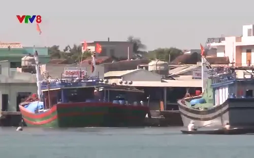 Ngư dân Miền Trung được mùa đánh bắt thủy sản