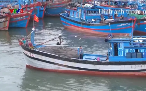 Đà Nẵng xử lý hơn 100 tàu cá ngoại tỉnh vi phạm các quy định về khai thác hải sản