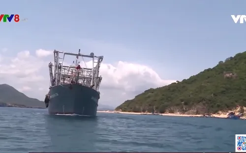 Bình Định: Hơn 20 tàu cá đóng theo NĐ67 được mua bảo hiểm tàu cá