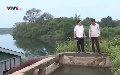 Xâm nhập mặn ảnh hưởng đời sống và sản xuất nông nghiệp ở Quảng Trị