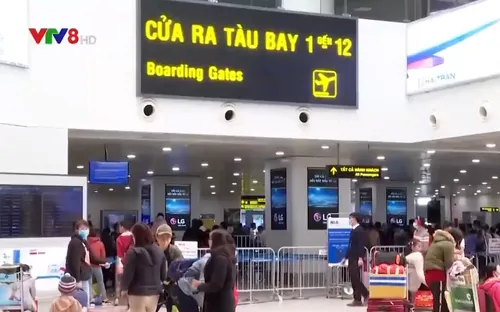 VNA giảm tần suất chuyến bay đến Đà Nẵng