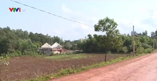 Triệu Sơn (Thanh Hóa): Hàng nghìn m2 đất bị "đất tặc" cày xới