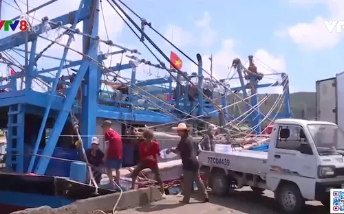 Ngư dân bám biển, giữ ngư trường truyền thống