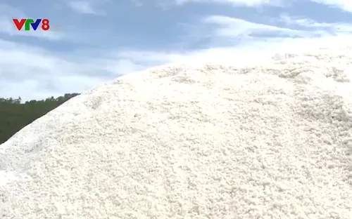 Quảng Ngãi: Diêm dân khó khăn do giá muối bấp bênh