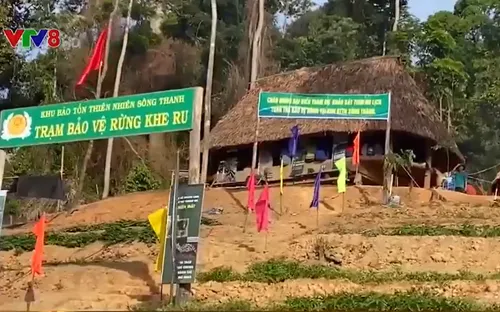 Quảng Nam phát triển du lịch sinh thái bảo vệ rừng