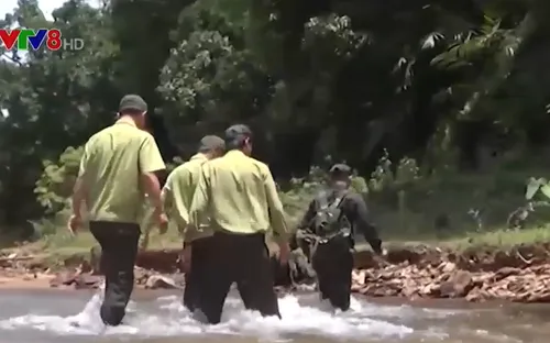 Quảng Nam cải tổ toàn bộ lực lượng bảo vệ rừng