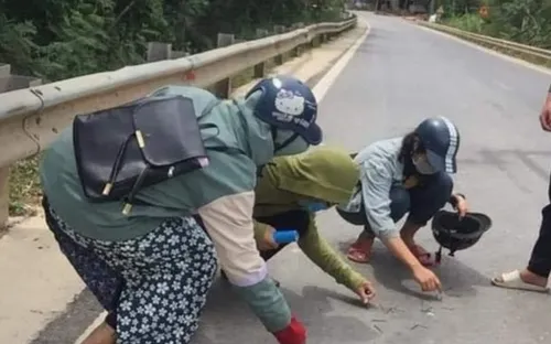 Nhóm học sinh đội nắng nhặt đinh ở đường Hồ Chí Minh