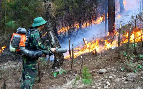 Cháy rừng mùa cao điểm nắng nóng: Phòng cháy rồi mới đến chống cháy
