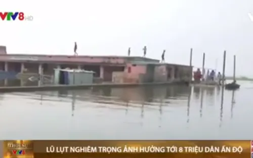 Lũ lụt nghiêm trọng ảnh hưởng tới 8 triệu dân tại Ấn Độ