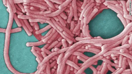 Phát hiện vi khuẩn legionella trong đường ống nước của văn phòng CDC Mỹ