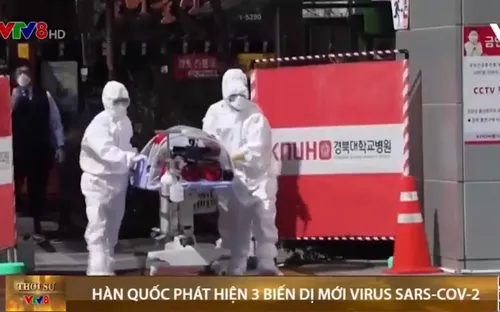 Hàn Quốc phát hiện 3 biến dị mới virus SARS-CoV-2