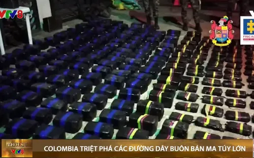 Colombia triệt phá các đường dây buôn bán ma túy lớn