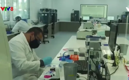 Thế giới chạy nước rút bào chế Vaccine và thuốc chữa Covid-19