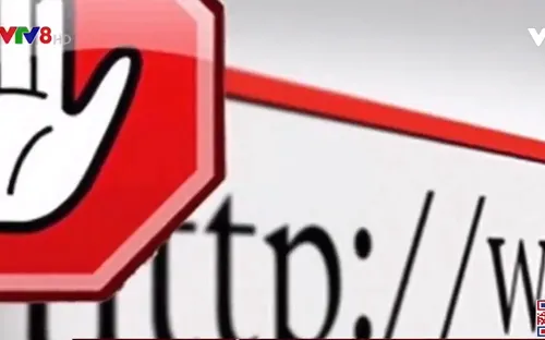 Việt Nam - Mỹ hợp tác bắt giữ 3 nghi phạm lừa đảo