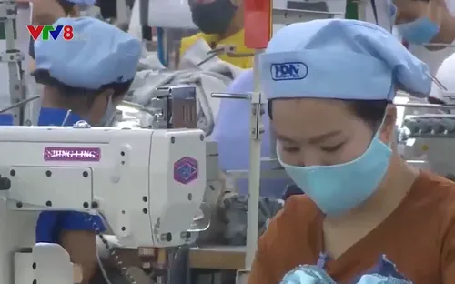 Thừa Thiên - Huế: Gắn sản xuất  kinh doanh với công tác phòng chống dịch