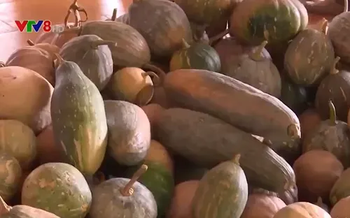 Tấm lòng đồng bào miền núi hướng về tâm dịch Đà Nẵng