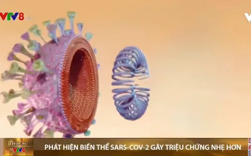 Singapore phát hiện biến thể của virus SARS-CoV-2 gây triệu chứng nhẹ hơn