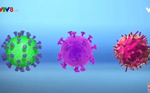 Những phát hiện mới về chủng virus SARS-CoV-2