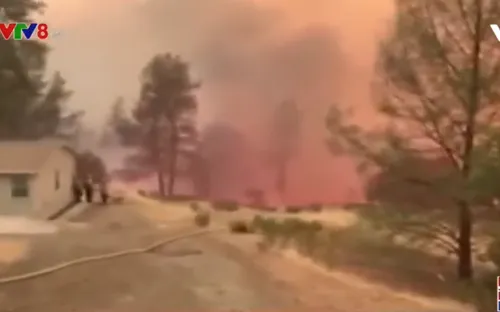 Tổng thống Trump tuyên bố tình trạng thảm họa do cháy rừng ở California