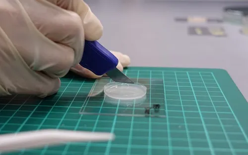 Da điện tử - Hy vọng mới cho những người lắp chi giả