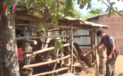 Gia Lai: Đẩy mạnh giảm nghèo bền vững