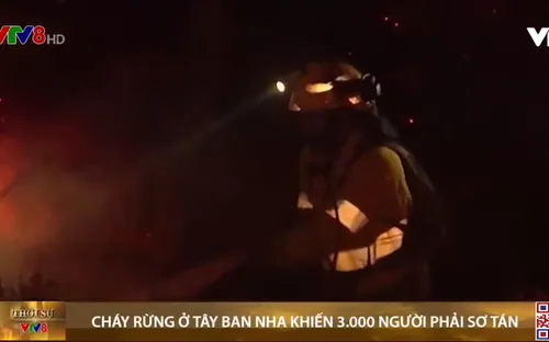 Cháy rừng ở Tây Ban Nha