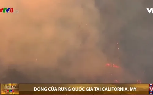 Mỹ: đóng cửa rừng quốc gia tại California