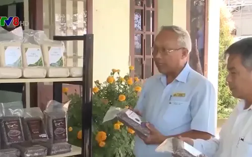 Quảng Ngãi: Nhiều hợp tác xã đạt doanh thu cao