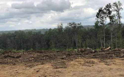 19 gia đình chung tay tạo không gian sống an toàn cho người da màu