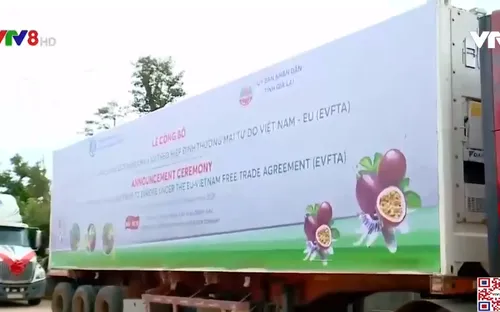 Cơ hội mới cho nông sản Việt Nam