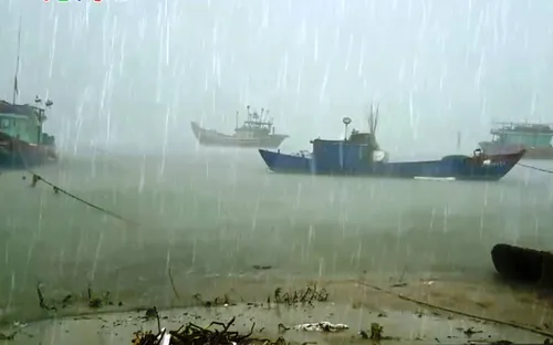 Bão số 5 khiến 1 người mất tích, cây đổ, tốc mái nhà, mất điện diện rộng tại Quảng Trị