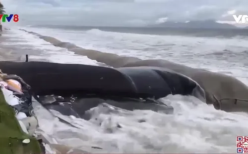 Tình hình khắc phục mưa bão ở Quảng Nam