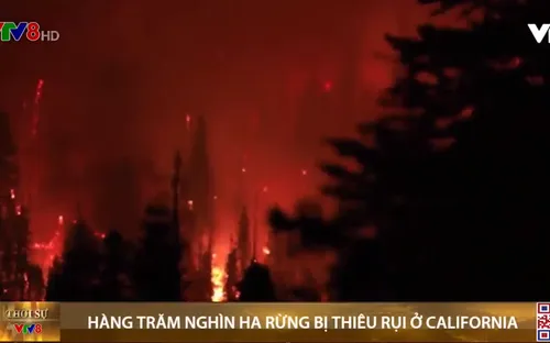 Hàng trăm nghìn ha rừng bị thiêu rụi ở California