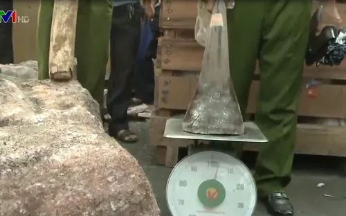 Tăng cường thực thi pháp luật bảo vệ động vật hoang dã